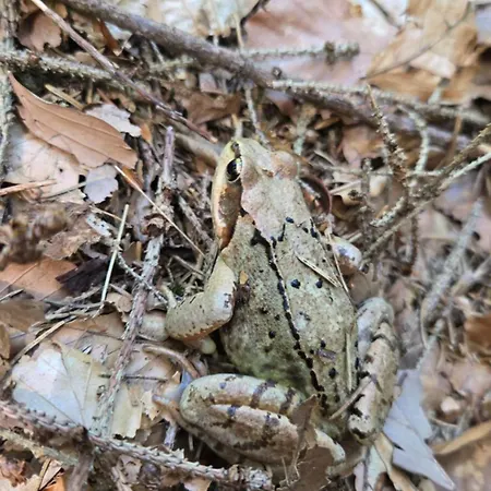 Apartman Rezidence Marianka