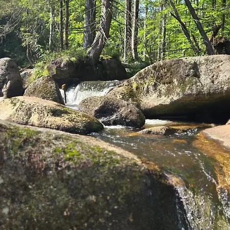 Rezidence Marianka Apartman Albrechtice v Jizerských horách