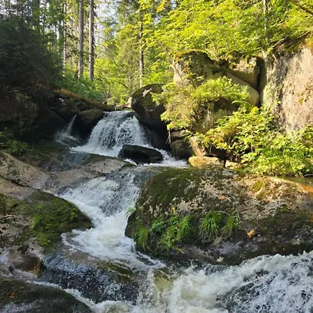 Rezidence Marianka Apartman *