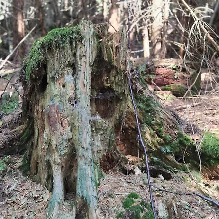 Rezidence Marianka Apartman Albrechtice v Jizerských horách