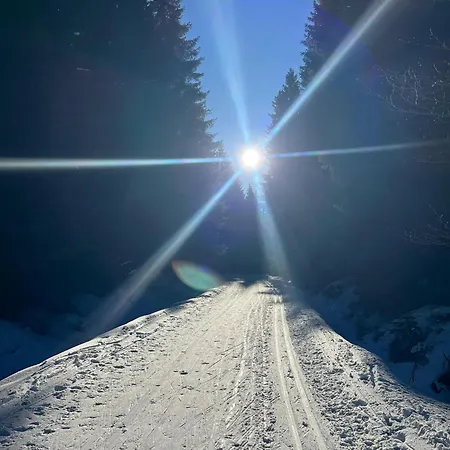 Apartman Rezidence Marianka Albrechtice v Jizerských horách