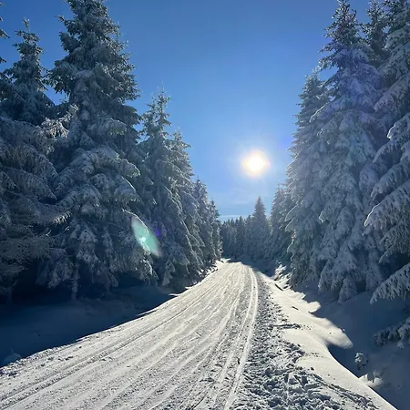 Rezidence Marianka Apartman *